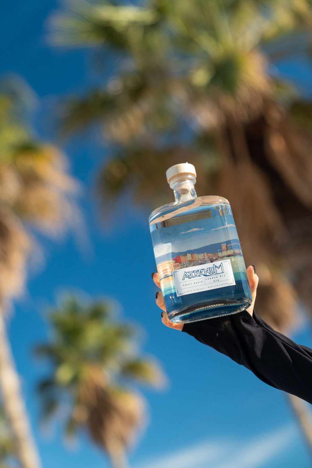 Aternum Gin